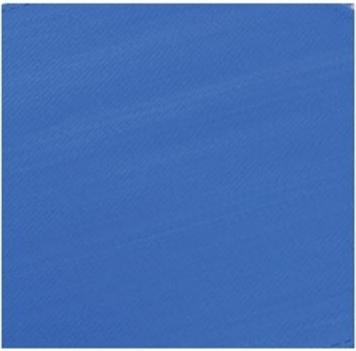 Woodwell Плат за Режисьорски Стол Син 2бр 100x200см. E2601,T1