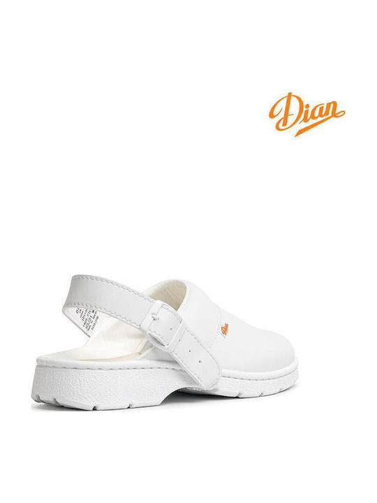 Dian Anatomici Sabot Albe