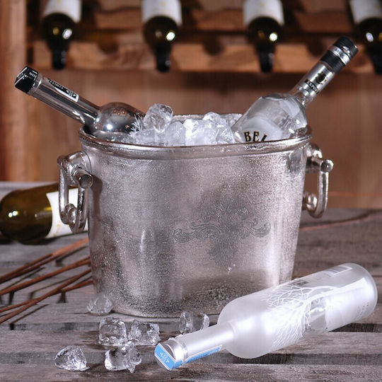Einfache Champagners Aluminium mit Abmessungen 35x20x22cm Oval mit Design