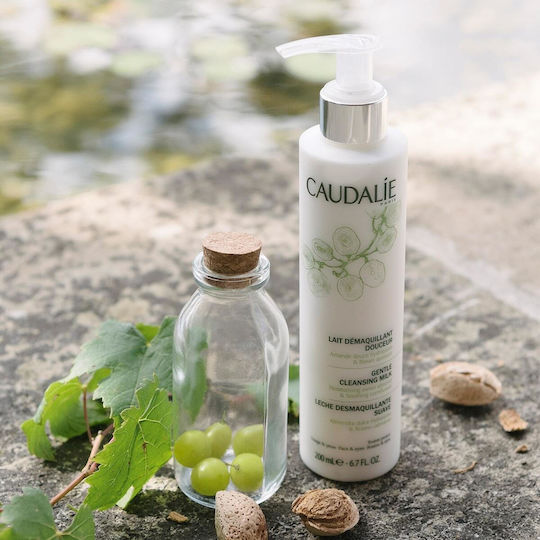 Caudalie Γαλάκτωμα Ντεμακιγιάζ Gentle 100ml