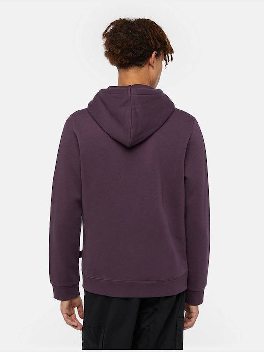 Sweatshirt with Hood Plum