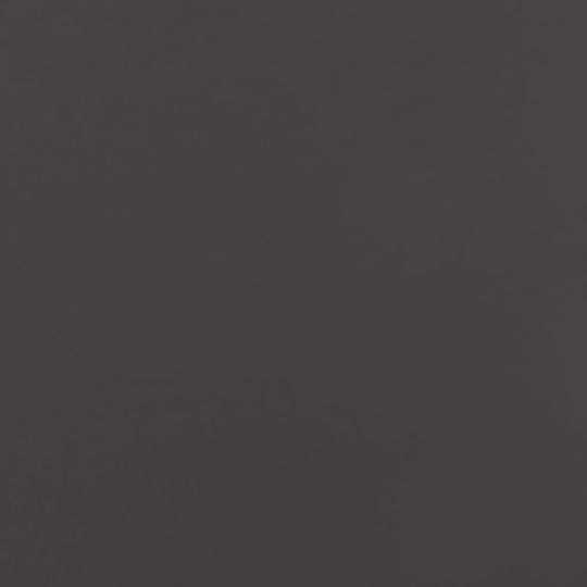 vidaXL Set 2 Blumenkästen Metall Black