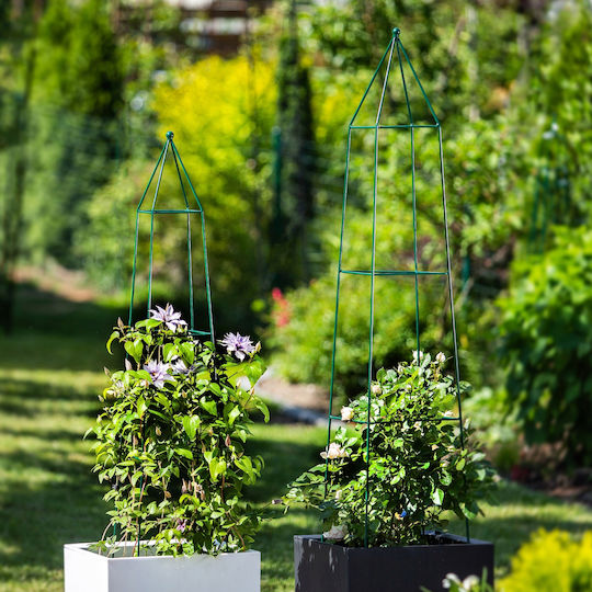 Kadax Garden Pergola Pyramid Climbing Roses 150 Cm