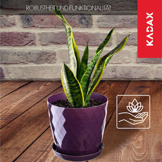 Kadax 