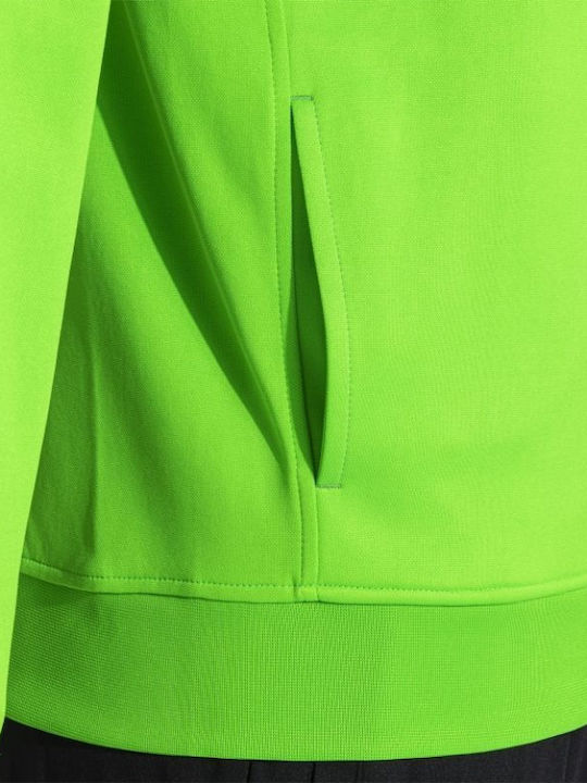 Trainingsanzug Glänzend mit Gummizug Grün