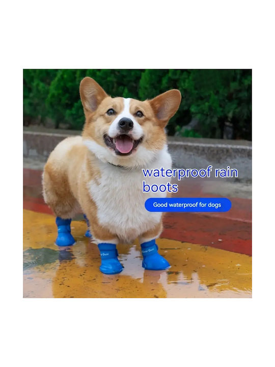 Shoes Dog Rain in Blue Color