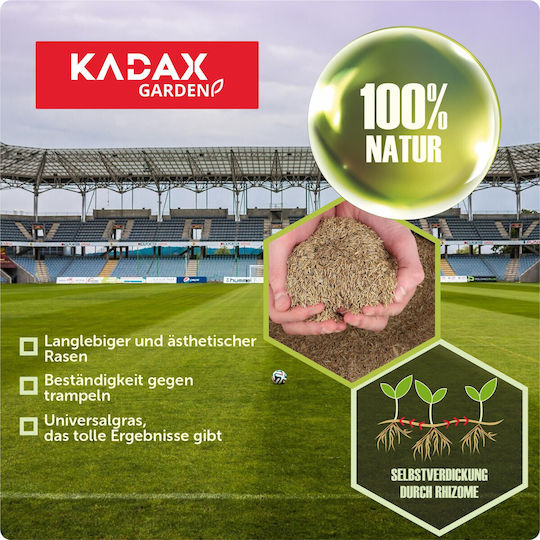 Kadax Sport-Rasen Selbstverdichtender Rasen 1 kg 40m²