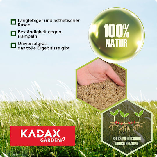 Kadax Decorative Grass Self-compacting Lawn 10 Kg