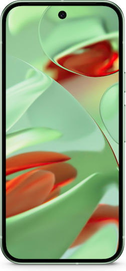 Google Pixel 9 5G (12GB/256GB) Wintergreen