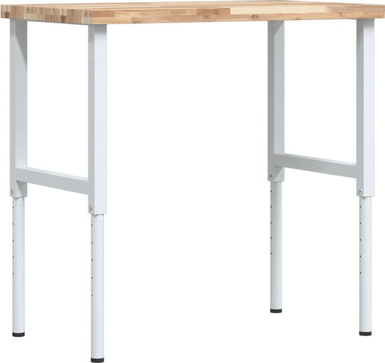 vidaXL Πάγκος Εργασίας 100x60x73cm 3309713
