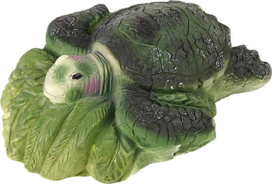 Lean Toys Ammonite Turtle Excavation Educational Game Knowledge for 6+ years old Years Old