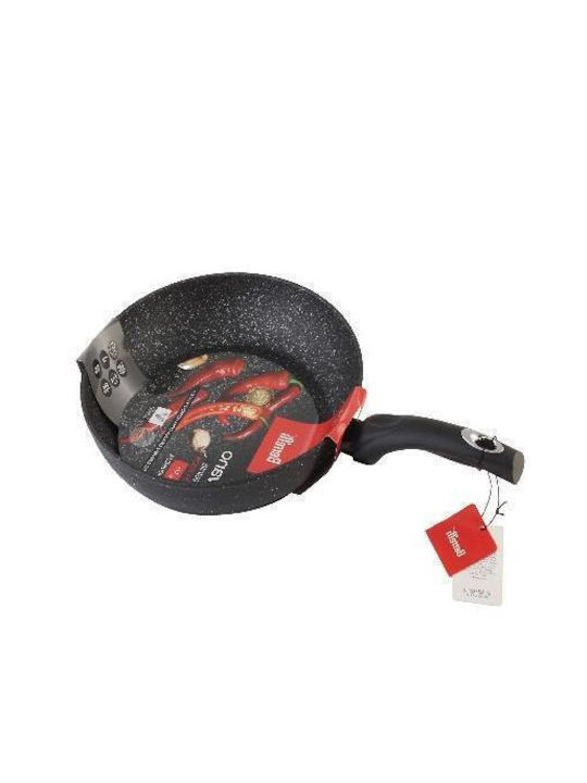 Berretti Tivano Aluminum Pan with Lid with Non-Stick Coating 24cm