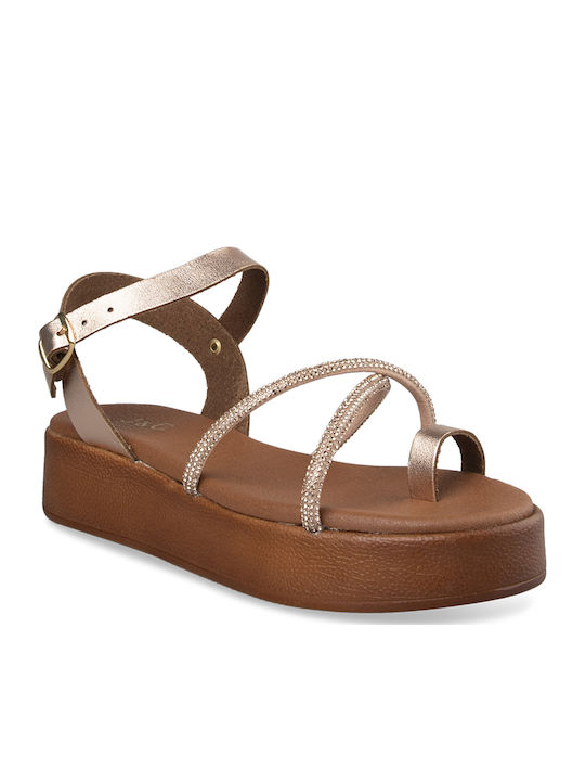 Tsouderos Shoes Tsouderos Shoes