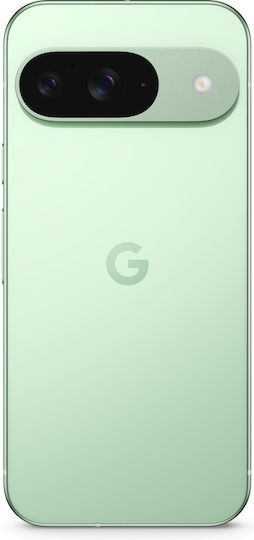 Google Pixel 9 5G (12GB/128GB) Wintergreen