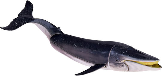 Jokomisiada Sea Animals για 3+ Ετών (Διάφορα Σχέδια)