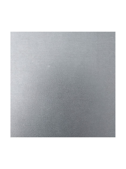vidaXL Grădină Set 2 Jardiniere Metalice Silver
