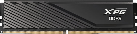 Adata Lancer DDR5 32GB RAM with 2x16GB Modules and Speed 5600 for Desktop
