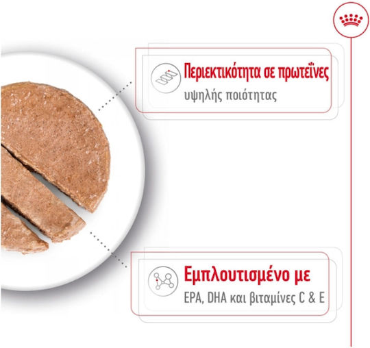 Royal Canin Medium Ageing 7+ Loaf Pate for Mature Medium Breed Dogs Over 7 Years 410g