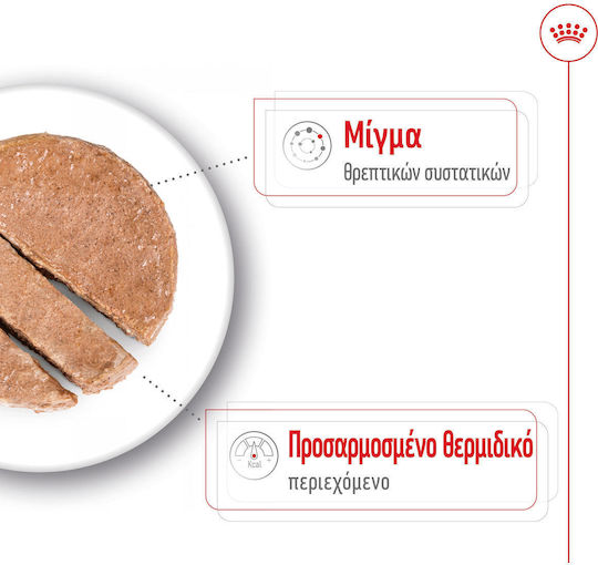 Υγρή Τροφή Royal Canin Mini Ageing 8+ Loaf Πατέ Ώριμους Σκύλους Μικρόσωμων Φυλών Άνω 8 Ετών Μέχρι 10kg 195gr