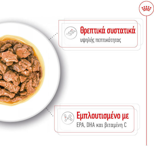 Υγρή Τροφή Royal Canin X Small Adult Gravy Σάλτσα Ενήλικες Σκύλους Πολύ Μικρόσωμων Φυλών Σωματικού Βάρους Έως 4 Kg 85gr