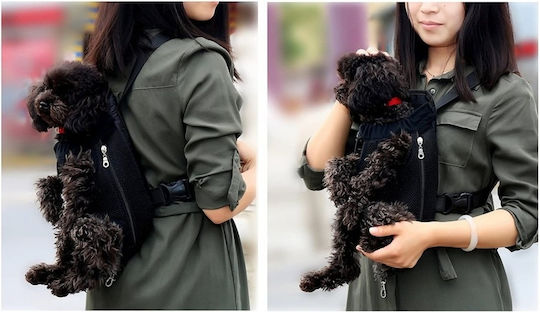 Dog Cat Chest Back Carrier Blue XL P37-47cm S50-60cm, P15cm, Weight 7-9.5kg