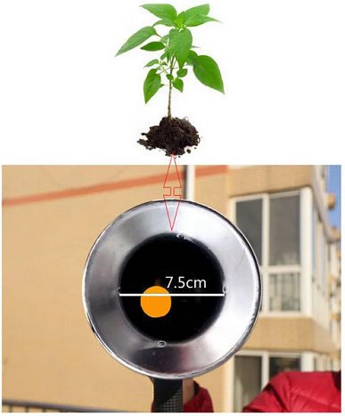 Transplanting Tool - Vegetable Planter