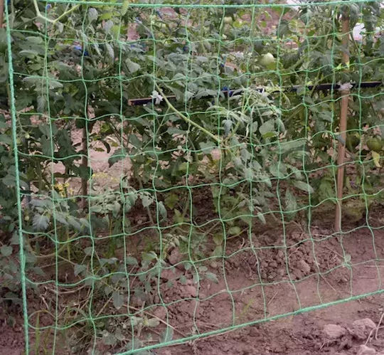 Δίχτυ Αναρριχώμενων Φυτών 200cm από Μέταλλο