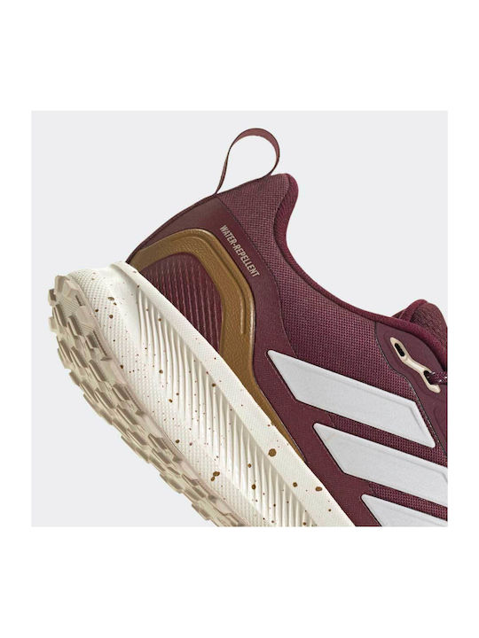 Runfalcon 5 Sport Shoes Trail Running Burgundy