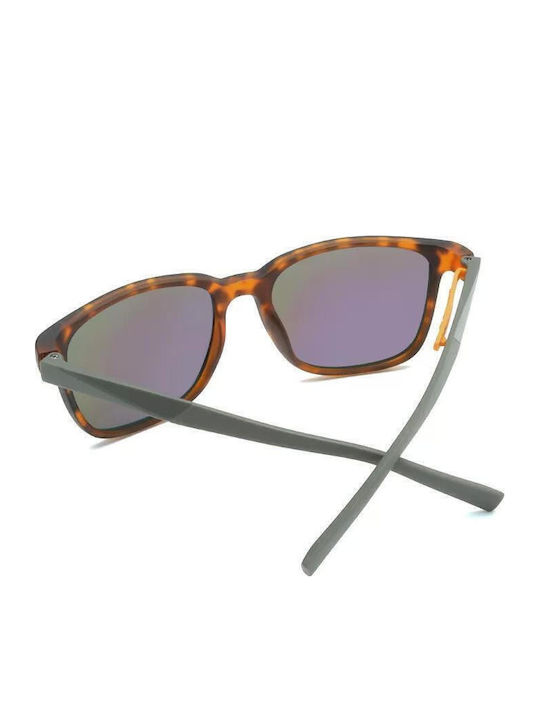 Polareye PL529