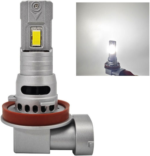 Lamps Car H8 Canbus LED 5000K Cold White 12V / 10V / 16V 2pcs
