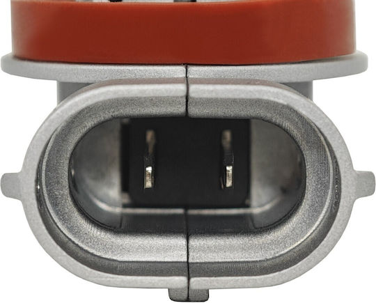 Λάμπες Αυτοκινήτου H11 / H16 Canbus LED 5000K Ψυχρό Λευκό 12V / 10V / 16V 2τμχ
