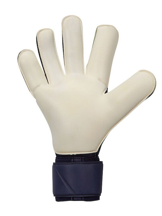 Nike Grip 3 Γάντια Τερματοφύλακα Ενηλίκων Μπλε