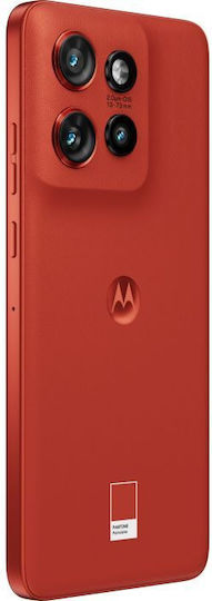 Motorola Edge 50 Neo 5G Dual SIM (8GB/256GB) PANTONE Poinciana