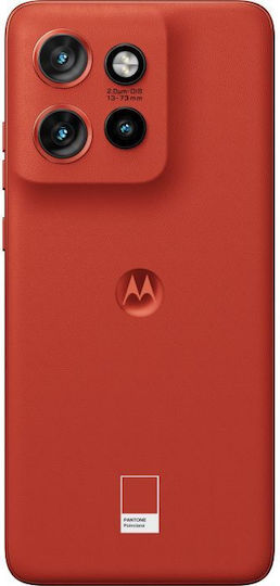 Motorola Edge 50 Neo 5G Dual SIM (8GB/256GB) PANTONE Poinciana