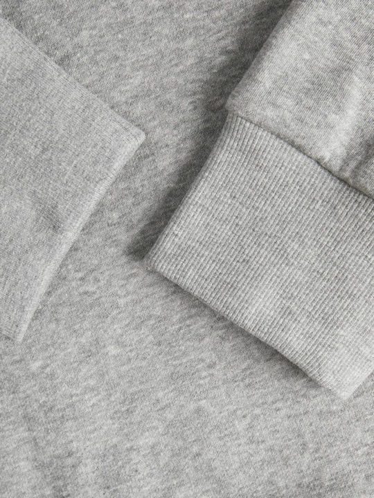 Hooded Sweatshirt Light Grey Melange