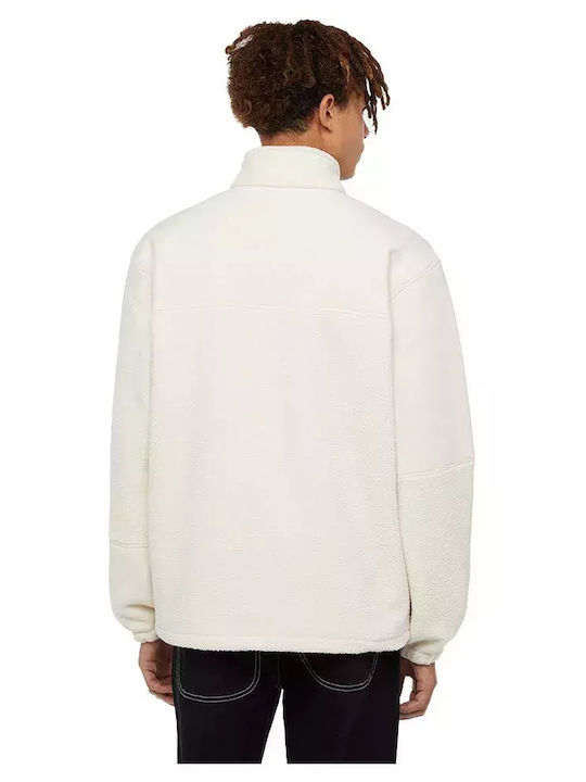 Dickies Dickies