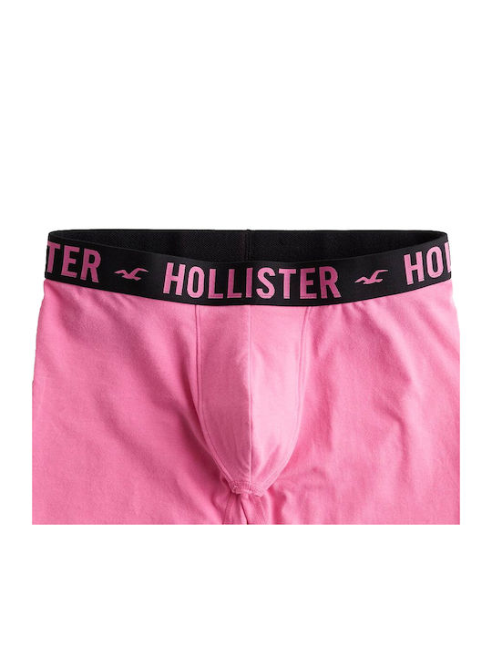 Hollister Hollister