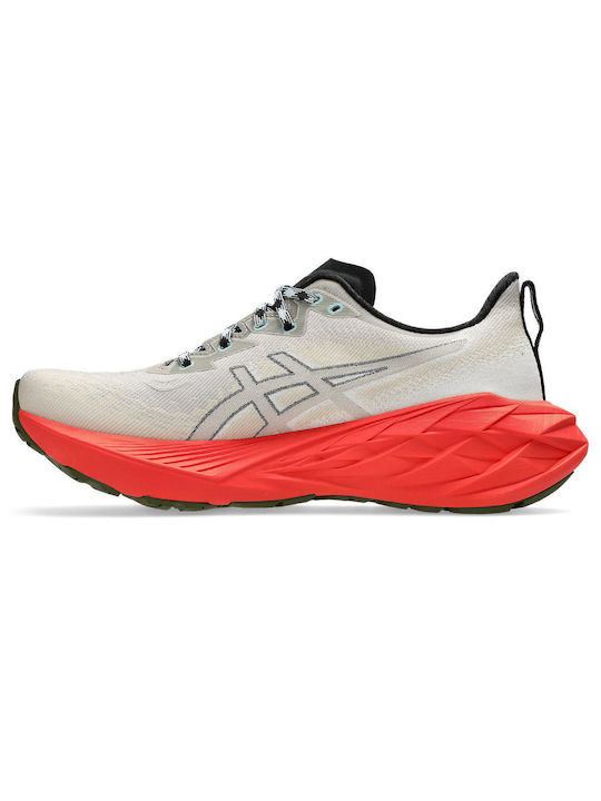 ASICS Novablast 4 Tr Ανδρικά Αθλητικά Παπούτσια Trail Running Brw