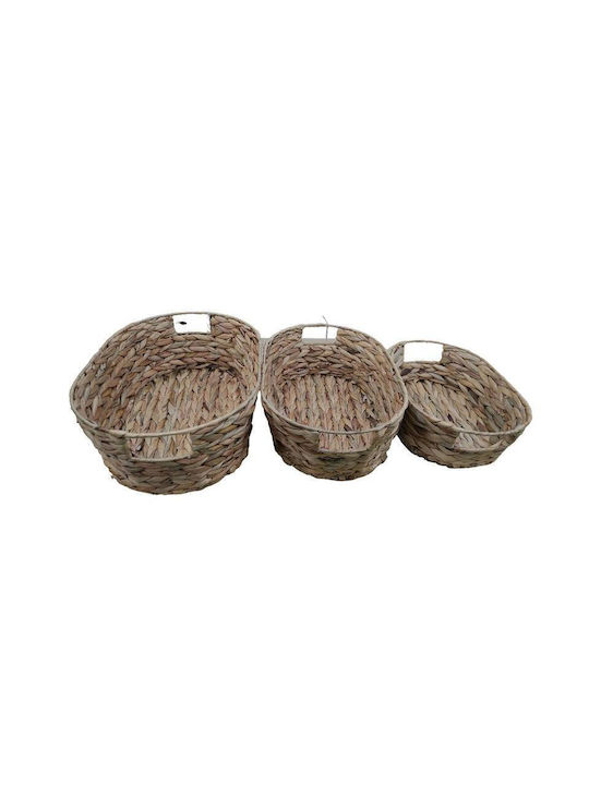 Lalos Set of 3 Wicker Baskets Fiji Dark Natural 9151