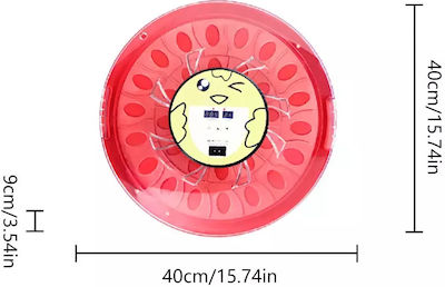 30 Egg Automatic Incubator Digital Temperature Control Low Noise Fan Rot