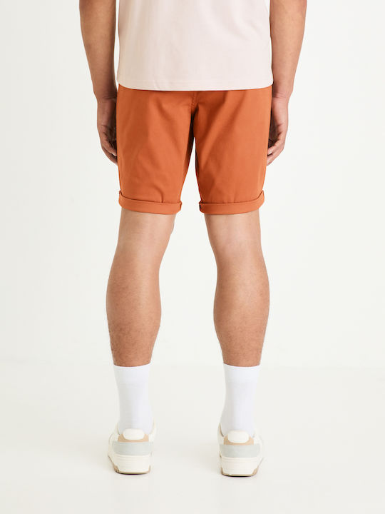 Celio