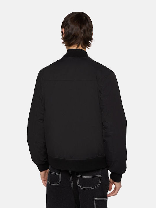 Dickies Dickies