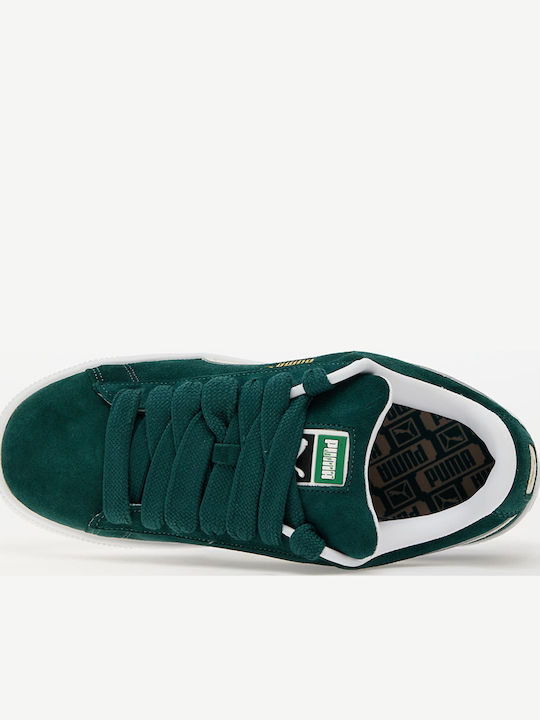 Sneakers Dark Myrtle / Warm White
