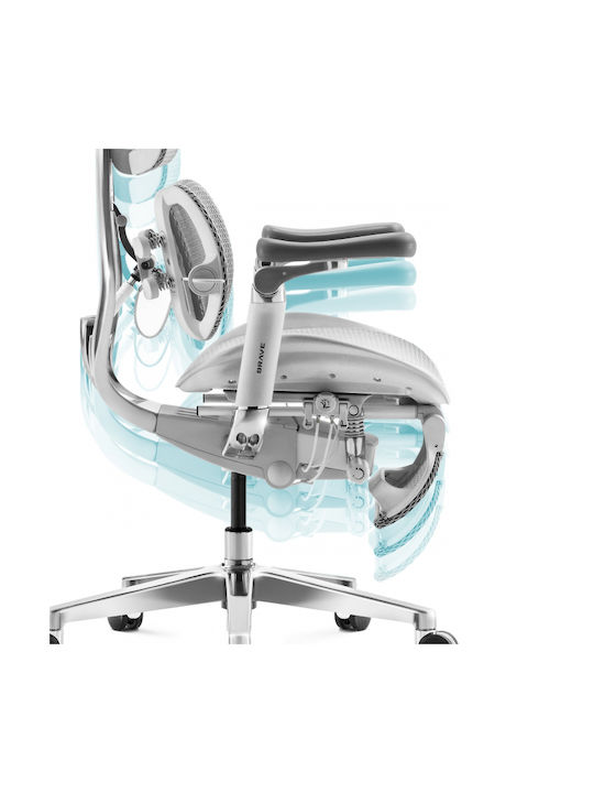 Brave Reclining Office Chair with Adjustable Arms Grey Diablo
