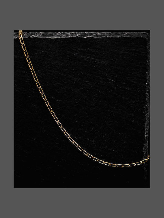 Themelidis Jewels Ανδρική Ασημένια Αλυσίδα Λαιμού Επιχρυσωμένη Λεπτή Πάχους 3.9mm και Μήκους 45cm