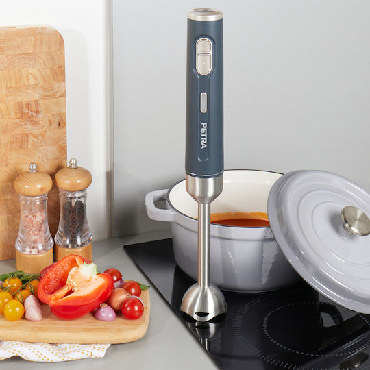 Petra Blender De Mână Cu Tijă Din Inox Gri
