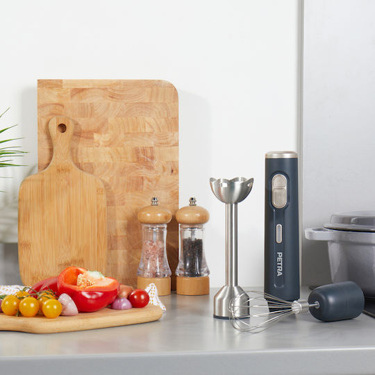 Petra Blender De Mână Cu Tijă Din Inox Gri