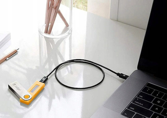 Ledger σε Κίτρινο Χρώμα