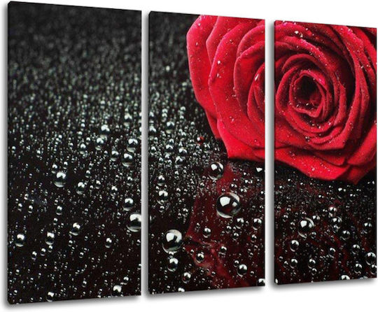 I-gallery Τρίπτυχος Πίνακας σε Καμβά 130x130cm