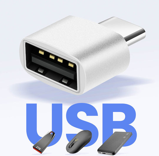 Avizar Charger Adapter USB-C USB-C Male to USB 2.0 Female Speed 480 Mbps Silver